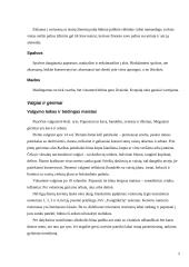 Protokolas ir etiketas Vidurio Europos kultūrinėje erdvėje (Čekijos Respublika, Slovakija) 5 puslapis