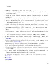 Eksportuojamų prekių muitinės priežiūros ir teisinio reglamentavimo ypatumai 19 puslapis