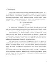 Eksportuojamų prekių muitinės priežiūros ir teisinio reglamentavimo ypatumai 9 puslapis