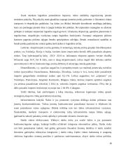 Elektrohidrauliniai griebtuvai biriems kroviniams 18 puslapis