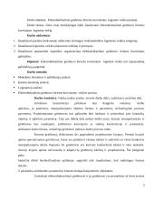 Elektrohidrauliniai griebtuvai biriems kroviniams 3 puslapis