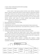 Elektrohidrauliniai griebtuvai biriems kroviniams 5 puslapis