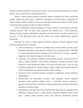 Elektrohidrauliniai griebtuvai biriems kroviniams 9 puslapis