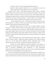 Elektrohidrauliniai griebtuvai biriems kroviniams 10 puslapis