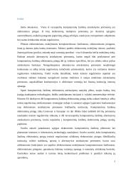 Elektroniniai mokėjimai kompiuteriniuose žaidimuose  2 puslapis