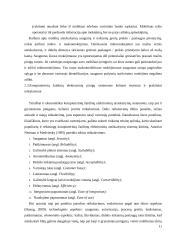 Elektroniniai mokėjimai kompiuteriniuose žaidimuose  11 puslapis