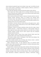 Elektroniniai mokėjimai kompiuteriniuose žaidimuose  12 puslapis