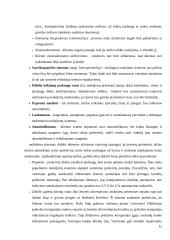 Elektroniniai mokėjimai kompiuteriniuose žaidimuose  15 puslapis