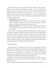 Elektroniniai mokėjimai kompiuteriniuose žaidimuose  9 puslapis