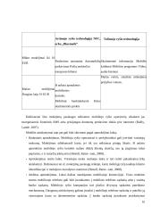 Elektroniniai mokėjimai kompiuteriniuose žaidimuose  10 puslapis
