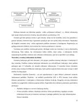 Elektroninio verslo tyrimas 13 puslapis