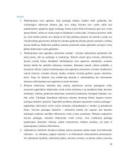 Elektroninio verslo tyrimas 20 puslapis