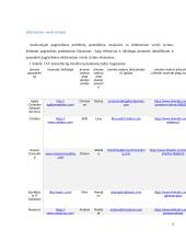 Elektroninio verslo tyrimas 3 puslapis