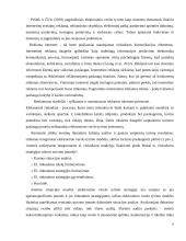Elektroninio verslo tyrimas 4 puslapis