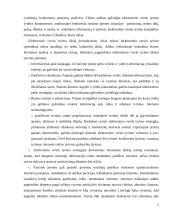 Elektroninio verslo tyrimas 5 puslapis