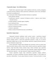 Ergonomika slaugoje – lovos skelbinių keitimas 3 puslapis
