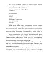 Ergonomika slaugoje – lovos skelbinių keitimas 5 puslapis