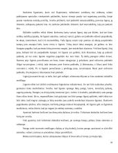 Ergonomika slaugoje – lovos skelbinių keitimas 10 puslapis