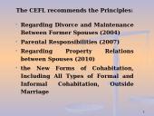 Perspectives for the Unification and Harmonization of Family Law in Europe 11 puslapis
