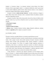 Ferraponto vienuolyno ansamblis 4 puslapis