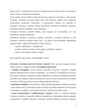 Ferraponto vienuolyno ansamblis 5 puslapis