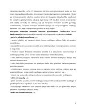 Ferraponto vienuolyno ansamblis 6 puslapis