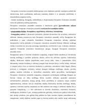 Ferraponto vienuolyno ansamblis 7 puslapis