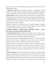 Ferraponto vienuolyno ansamblis 8 puslapis