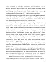 Ferraponto vienuolyno ansamblis 9 puslapis