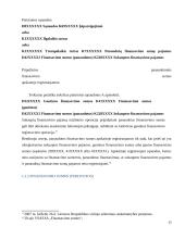 Finansavimo sumų apskaitos problemos viešajame sektoriuje 13 puslapis