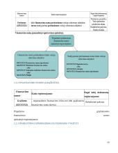 Finansavimo sumų apskaitos problemos viešajame sektoriuje 14 puslapis