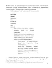 Finansavimo sumų apskaitos problemos viešajame sektoriuje 17 puslapis