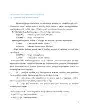 Finansavimo sumų apskaitos problemos viešajame sektoriuje 3 puslapis