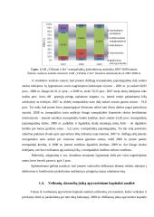 Finansinė analizė UAB “Vičiūnai ir Ko” 11 puslapis