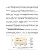 Finansinė analizė UAB “Vičiūnai ir Ko” 14 puslapis