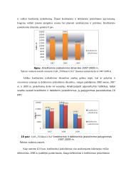 Finansinė analizė UAB “Vičiūnai ir Ko” 17 puslapis
