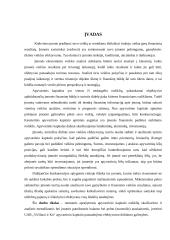 Finansinė analizė UAB “Vičiūnai ir Ko” 3 puslapis