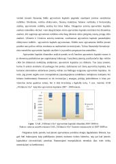 Finansinė analizė UAB “Vičiūnai ir Ko” 8 puslapis