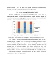 Finansinė analizė UAB “Vičiūnai ir Ko” 10 puslapis