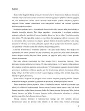 Finansinės rizikos asmeninių finansų valdyme 2 puslapis