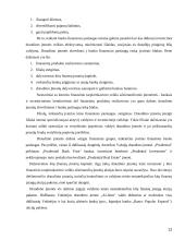 Finansinės rizikos asmeninių finansų valdyme 12 puslapis