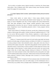 Finansinės rizikos asmeninių finansų valdyme 13 puslapis