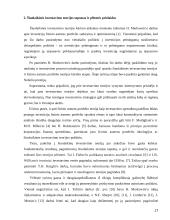 Finansinės rizikos asmeninių finansų valdyme 17 puslapis