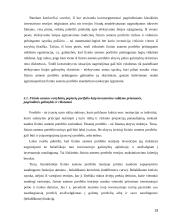 Finansinės rizikos asmeninių finansų valdyme 19 puslapis