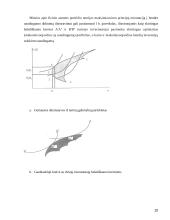 Finansinės rizikos asmeninių finansų valdyme 20 puslapis