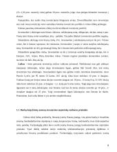 Finansinės rizikos asmeninių finansų valdyme 8 puslapis