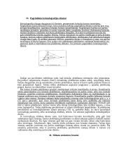 Pagrindinės termodinamikos sąvokos 17 puslapis