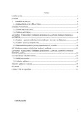 Gaminio tobulinimo sistemos įdiegimo galimybių tyrimas 2 puslapis