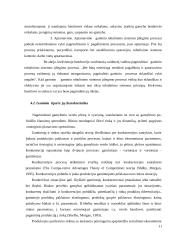 Gaminio tobulinimo sistemos įdiegimo galimybių tyrimas 11 puslapis