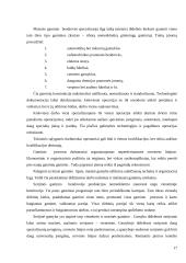 Gaminio tobulinimo sistemos įdiegimo galimybių tyrimas 17 puslapis